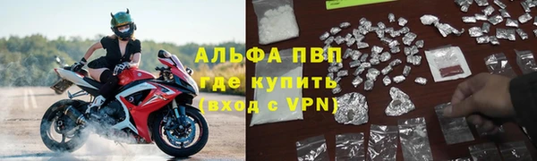 сатива Кулебаки