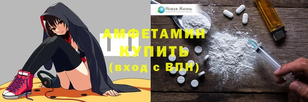 сатива Кулебаки