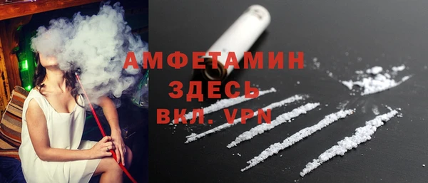 сатива Кулебаки