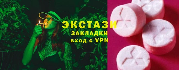 сатива Кулебаки