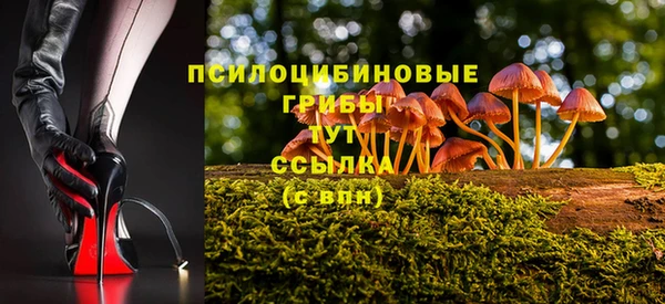 Альфа ПВП Кукмор