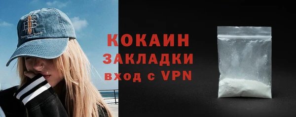 сатива Кулебаки