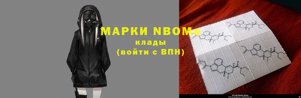 сатива Кулебаки