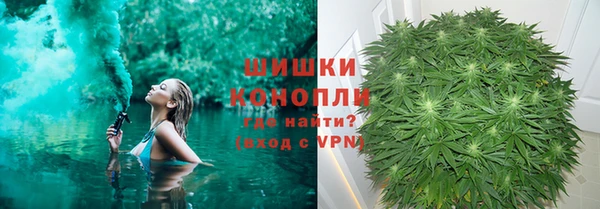 индика Красноперекопск