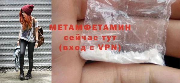 сатива Кулебаки