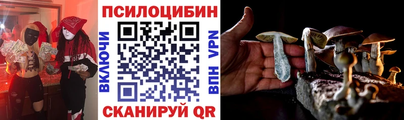 магазин  наркотиков  Приволжск  Псилоцибиновые грибы мицелий 